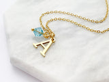 Birthstone and Initial Necklace