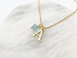 Birthstone and Initial Necklace