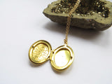 Hand Painted Locket - Swirl