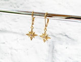 Star Burst Earrings