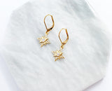 Star Burst Earrings